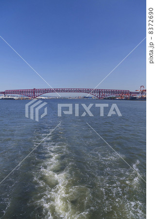 港大橋 8372690