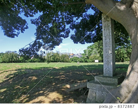 武蔵国分寺金堂跡(整備前) 武蔵国分寺金堂跡(整備前) 8372887