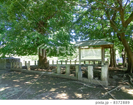 武蔵国分寺七重塔跡 8372889