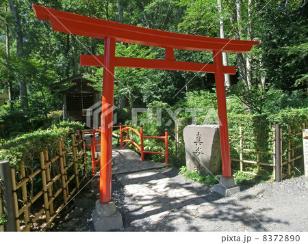 東京都国分寺市の真姿の池弁財天 8372890