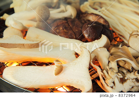 キノコの網焼き 8372964