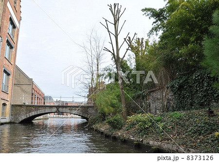 水の都　ブルージュ 8373126