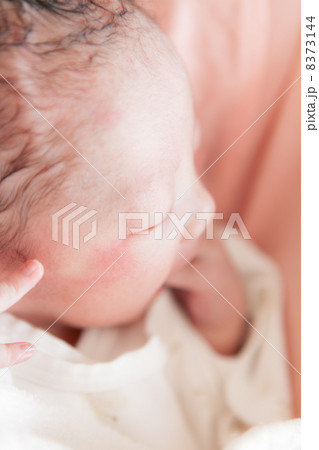 出産直後（日齢0） 8373144