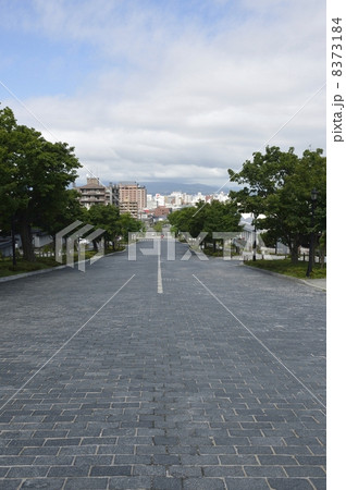 函館・二十間坂 8373184