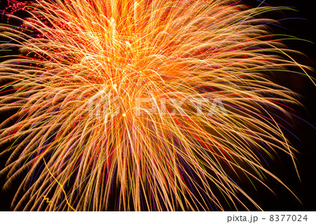 花火 8377024