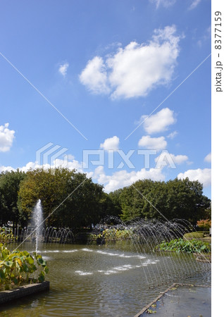 東京郊外　府中市　郷土の森の秋 8377159