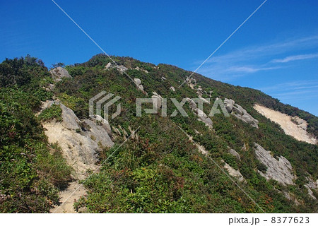 光兎山 8377623