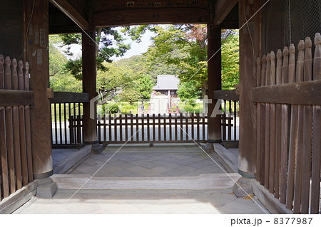 称名寺 8377987