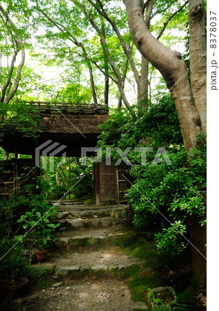 祇王寺 祇王寺 8378037