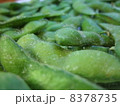 枝豆 8378735