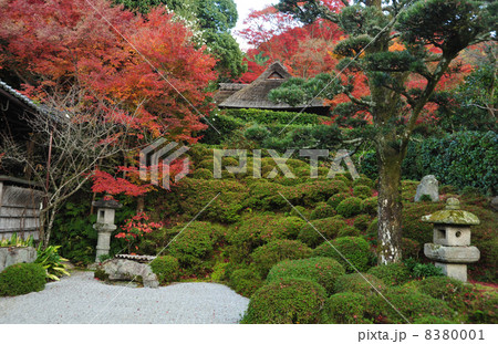 京都 紅葉の金福寺 京都 紅葉の金福寺 8380001