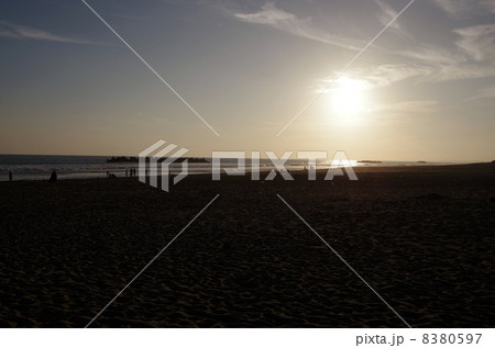 中田島砂丘にて（静岡県） 8380597