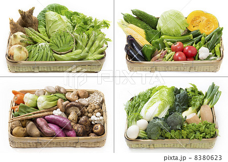 四季折々の野菜 四季折々の野菜 8380623