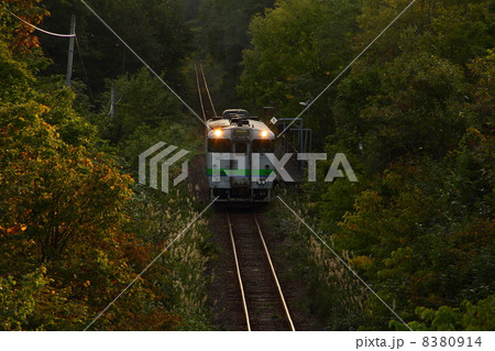 豊ヶ岡駅 8380914