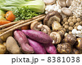 秋野菜の集合 8381038