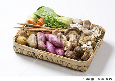 秋野菜の集合 秋野菜の集合 8381039