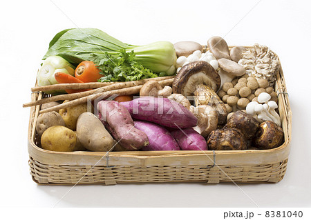 秋野菜の集合 秋野菜の集合 8381040