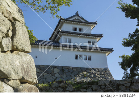 彦根城　西の丸三重櫓 8381234