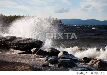 wave wave 8381543