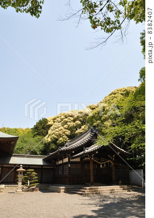 成海神社 名古屋 成海神社 名古屋 8382407
