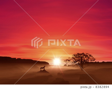 日の出と馬 日の出と馬 8382894