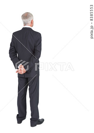 Rear view of mature businessman posing 8385553