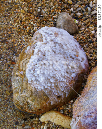 Dead Sea Salt Dead Sea Salt 8387180
