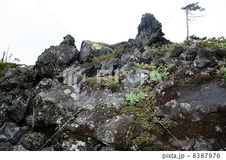 溶岩坪庭自然保護区 8387976