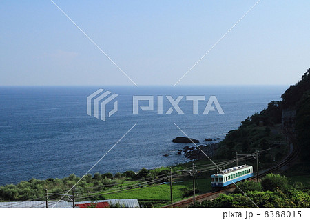 伊豆急100系 8388015