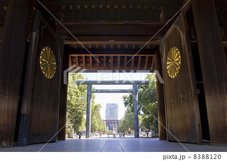靖国神社、菊花紋章の門 靖国神社、菊花紋章の門 8388120