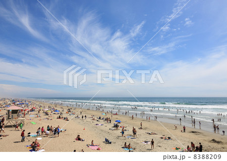 夏のロサンゼルス近郊、休日はビーチで遊ぼう! 夏のロサンゼルス近郊、休日はビーチで遊ぼう! 8388209