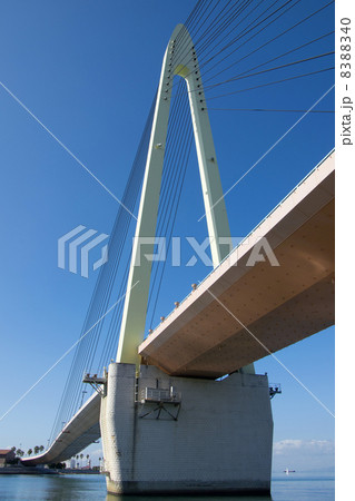 ムーンブリッジ ムーンブリッジ 8388340