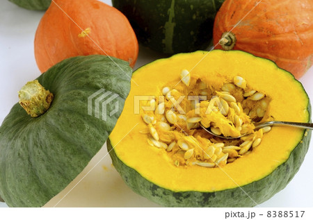 かぼちゃ かぼちゃ 8388517