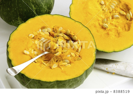 かぼちゃ 8388519