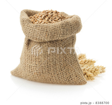 wheat grain on white wheat grain on white 8388700