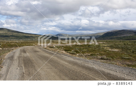 Road from Hjerkinn to Snoheim (Norway) 8389143