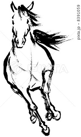 Sumi Hrying Horse Front Stock Illustration