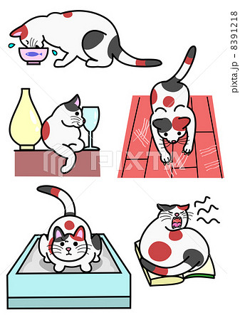 猫、いろいろ行動 8391218