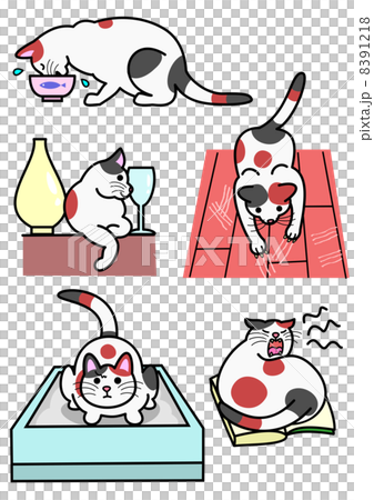猫、いろいろ行動 8391218