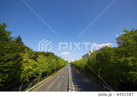 東京の幹線道路  抜けるような青空と緑の並木 8401587