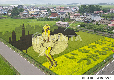 田んぼアート 8401597