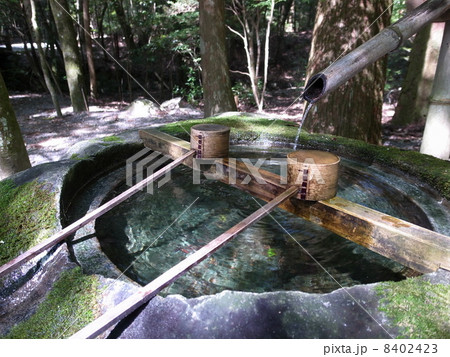 手水舎 3 手水舎 3 8402423