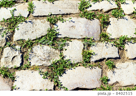 stone pavement with grass sprouted between the stones 8402515