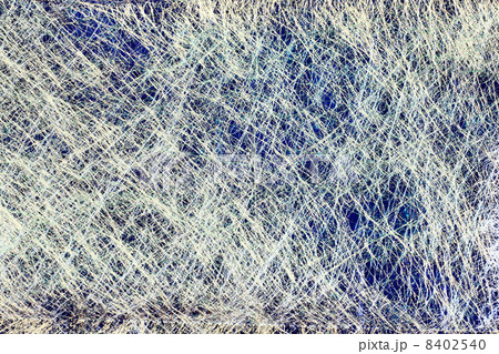 意識の本質 意識の本質 8402540