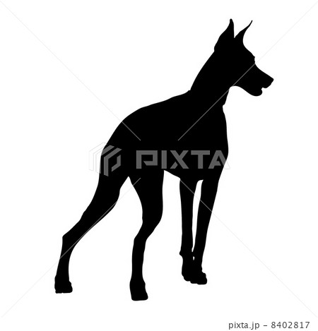 Doberman Silhouette 8402817