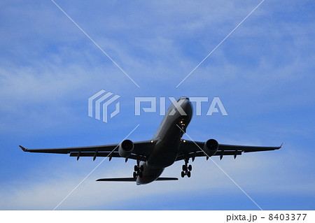 国際線 国際線 8403377