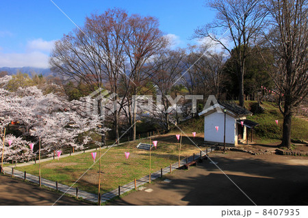 春の上田城址公園 8407935