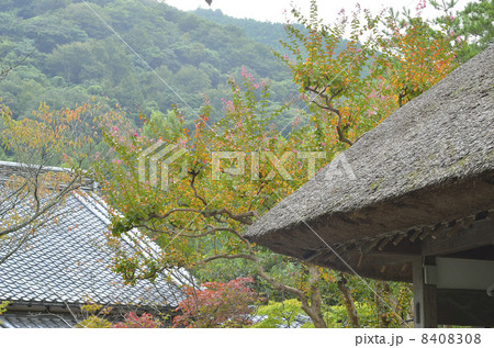 初秋の由布院 8408308