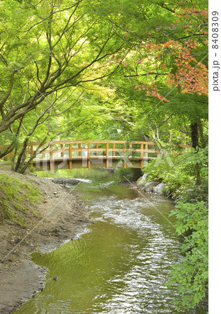 初秋の湯布院 8408309