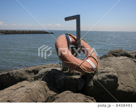 葛西臨海公園 8408491